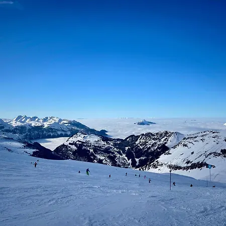 Le Marlotte Apartment Les Carroz d'Araches