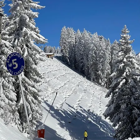 Le Marlotte Apartmán Les Carroz d'Araches