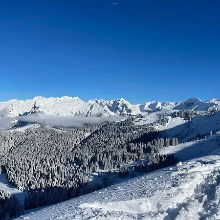 Apartmán Le Marlotte