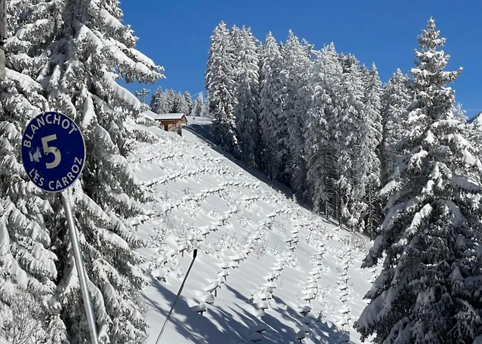 Le Marlotte Apartamento Les Carroz d'Araches